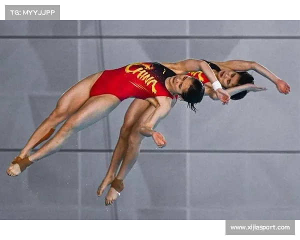 跳水世界杯赞助商激增带动赛事品牌升级商业价值持续攀升